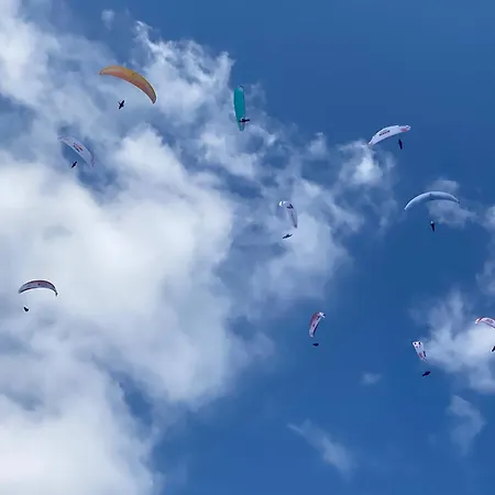 Alpines Nest By Managers * Kirchberg in Tirol