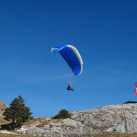 Alpines Nest By Managers 아파트