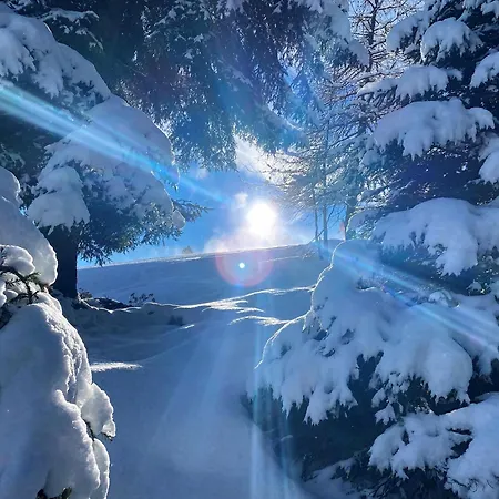 Alpines Nest By Managers 아파트