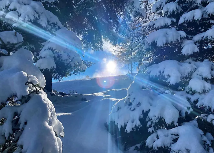 Alpines Nest By Managers Apartamento