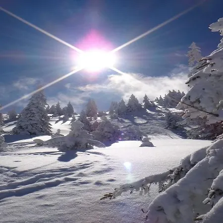 شقة Alpines Nest By Managers *